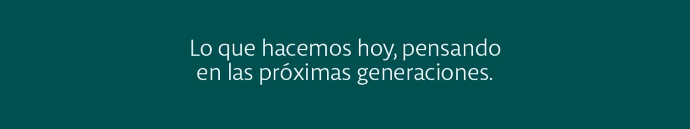 Banner Publicitario